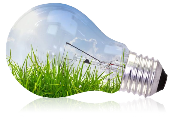 bulb bulb